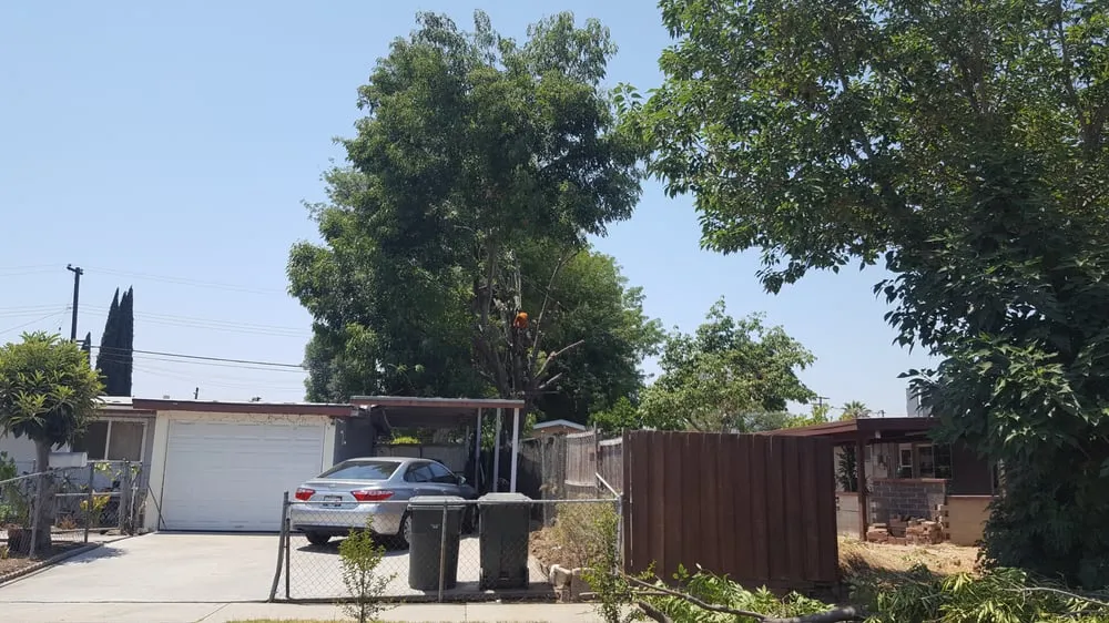 Custom garden landscaping in City of Industry, CA - Royal Maintenance Landscape & Design