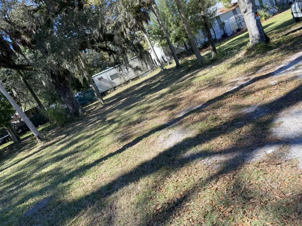 Trusted lawn care service in Sarasota, FL by Royal Manasota Home Solutions