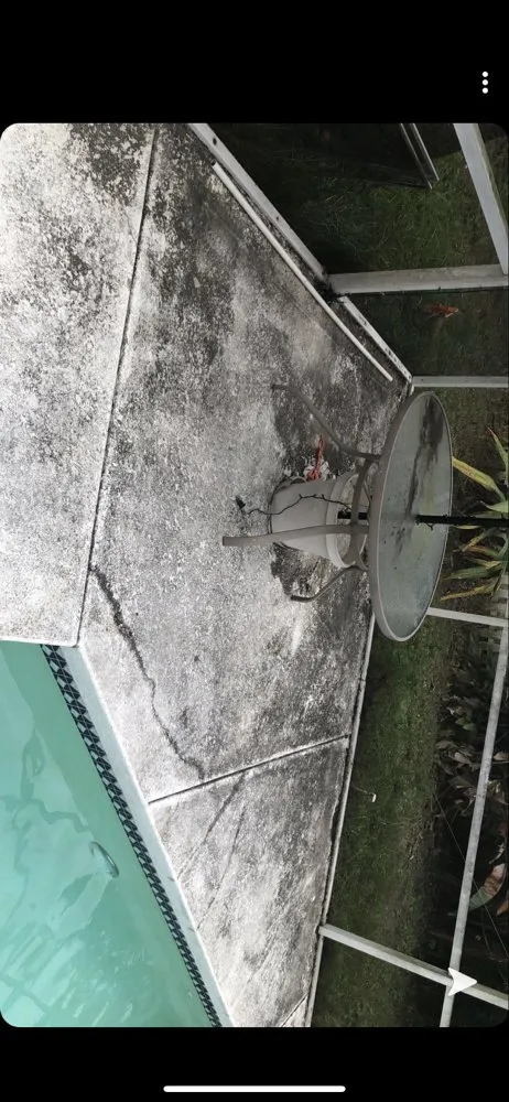 Local residential landscaping experts serving Sarasota, FL - Royal Manasota Home Solutions