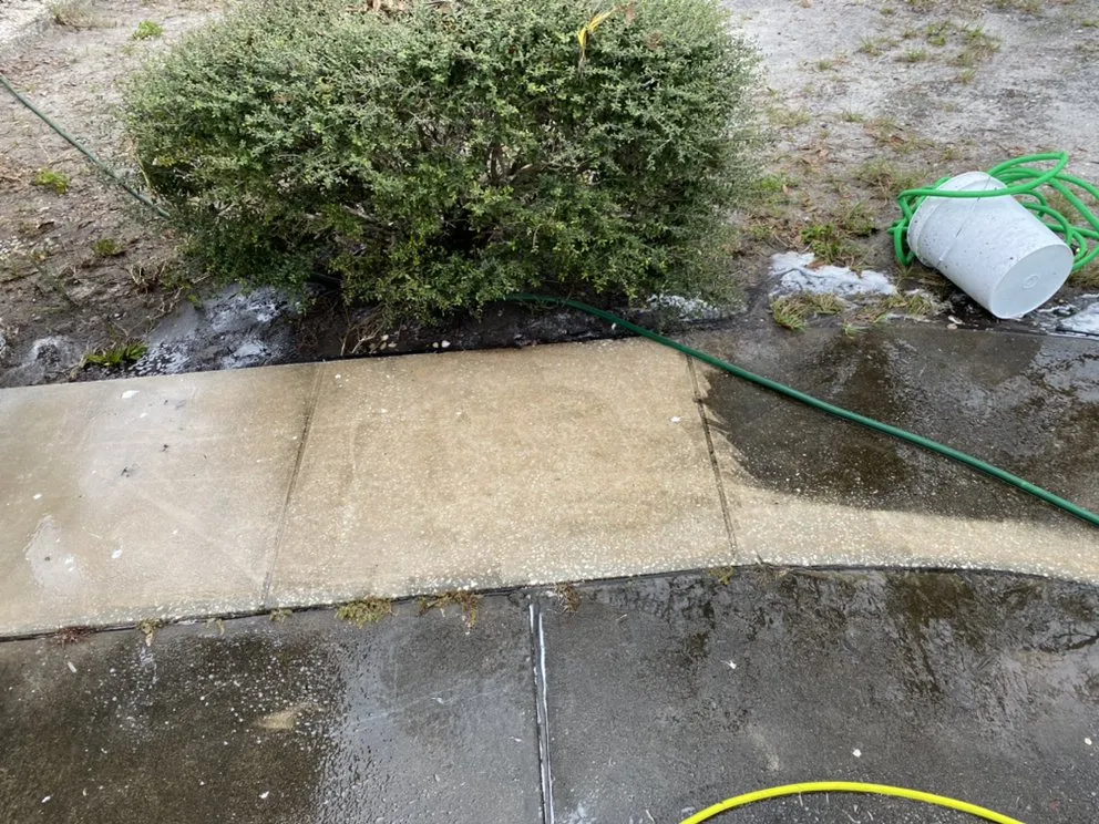 Expert landscape design in Sarasota, FL - Royal Manasota Home Solutions