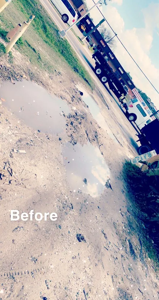 Custom lawn care service in Sarasota, FL - Royal Manasota Home Solutions