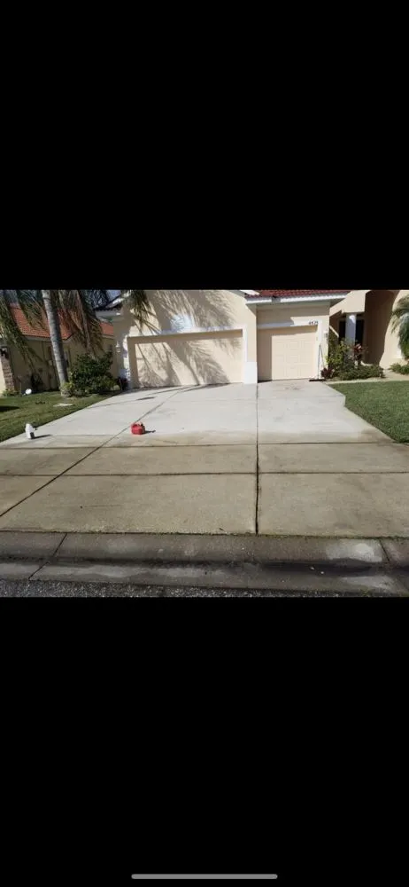 Custom lawn care service experts serving Sarasota, FL - Royal Manasota Home Solutions