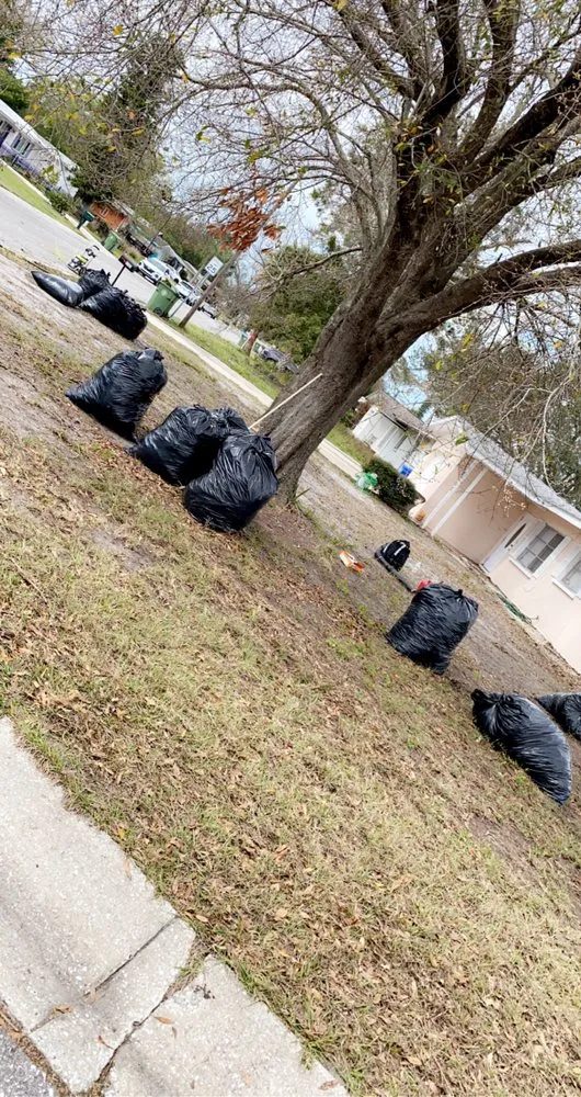 Professional yard maintenance experts serving Sarasota, FL - Royal Manasota Home Solutions