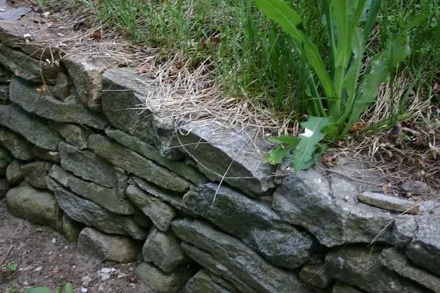 Affordable landscaping services in Madison, CT - Royal Oak Landscape