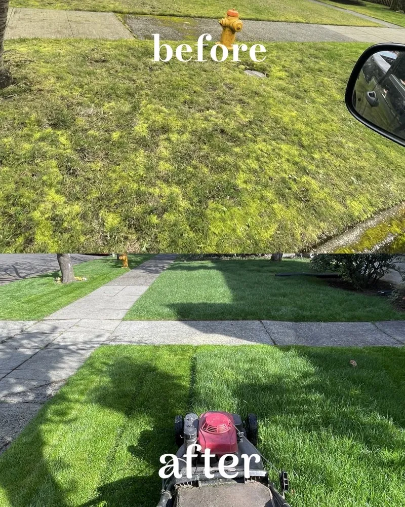 Expert residential landscaping for year-round maintenance across Tacoma, WA - Royal Oak Landscape