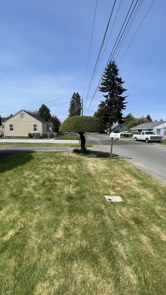 Custom landscape installation for residential properties in Tacoma, WA by Royal Oak Landscape