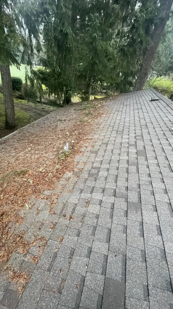 Expert landscape design for outdoor upgrades across Tacoma, WA - Royal Oak Landscape