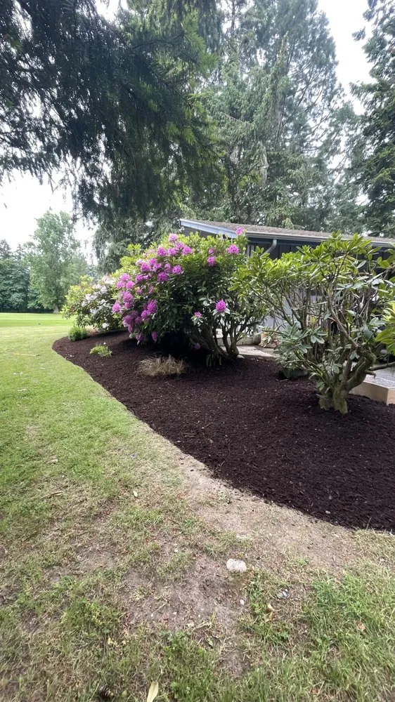 Trusted yard maintenance in Tacoma, WA - Royal Oak Landscape