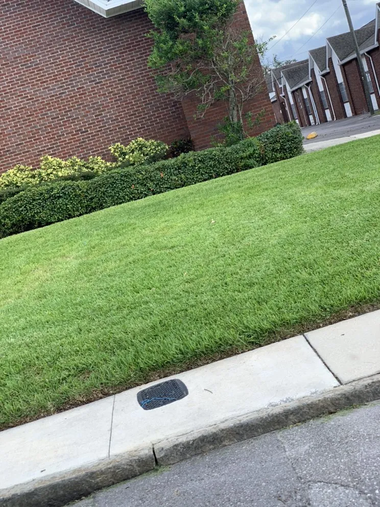 Professional yard maintenance in Tampa, FL by Royal Ohana Realty