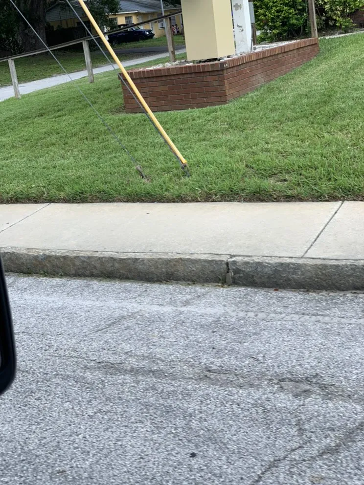 Expert residential landscaping experts serving Tampa, FL - Royal Ohana Realty