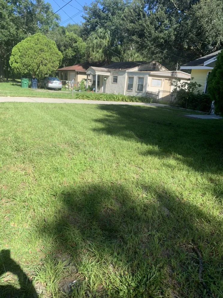 Affordable yard maintenance experts serving Tampa, FL - Royal Ohana Realty