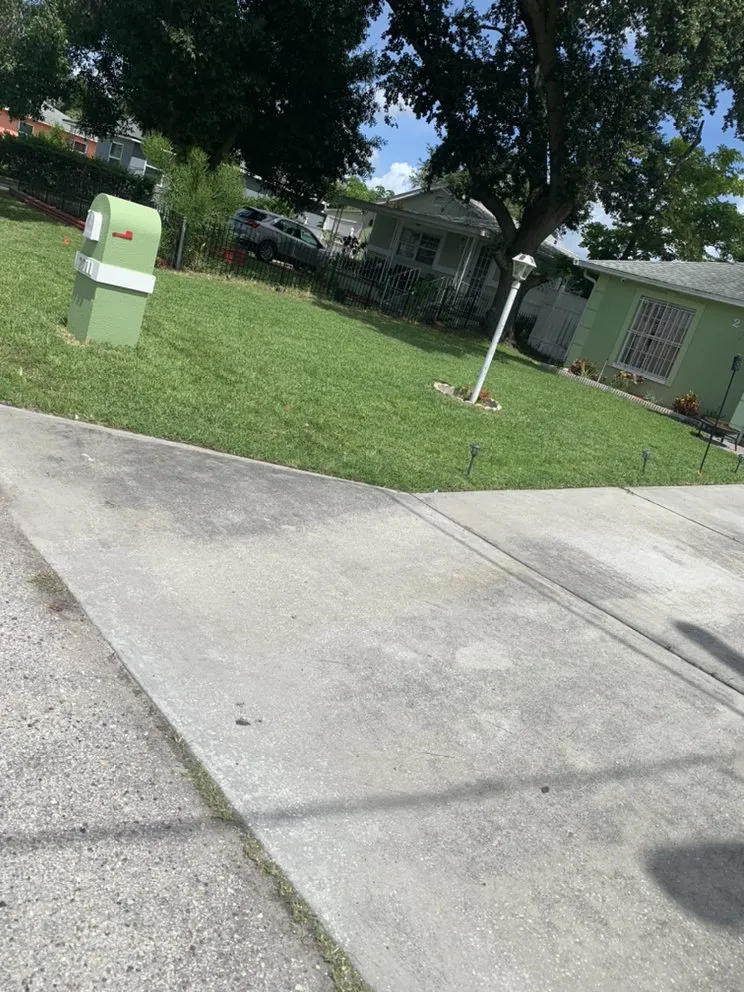 Professional landscaping services in Tampa, FL by Royal Ohana Realty