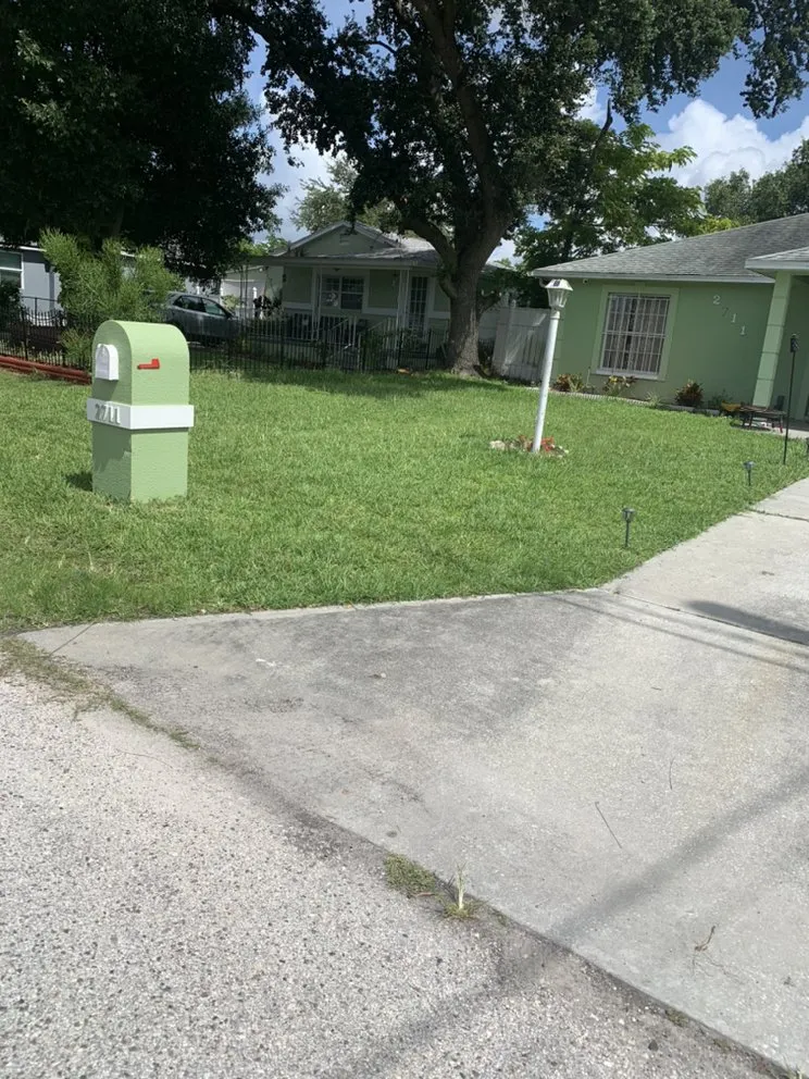 Reliable yard cleanup service experts serving Tampa, FL - Royal Ohana Realty