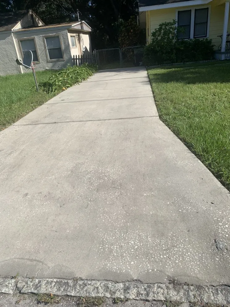 Local garden landscaping in Tampa, FL by Royal Ohana Realty