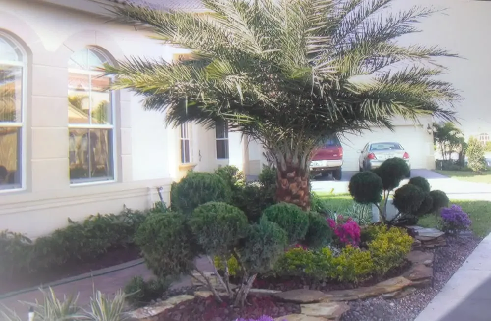 Expert lawn mowing service for beautiful yards across West Palm Beach, FL - Royal Palm Creations, Inc