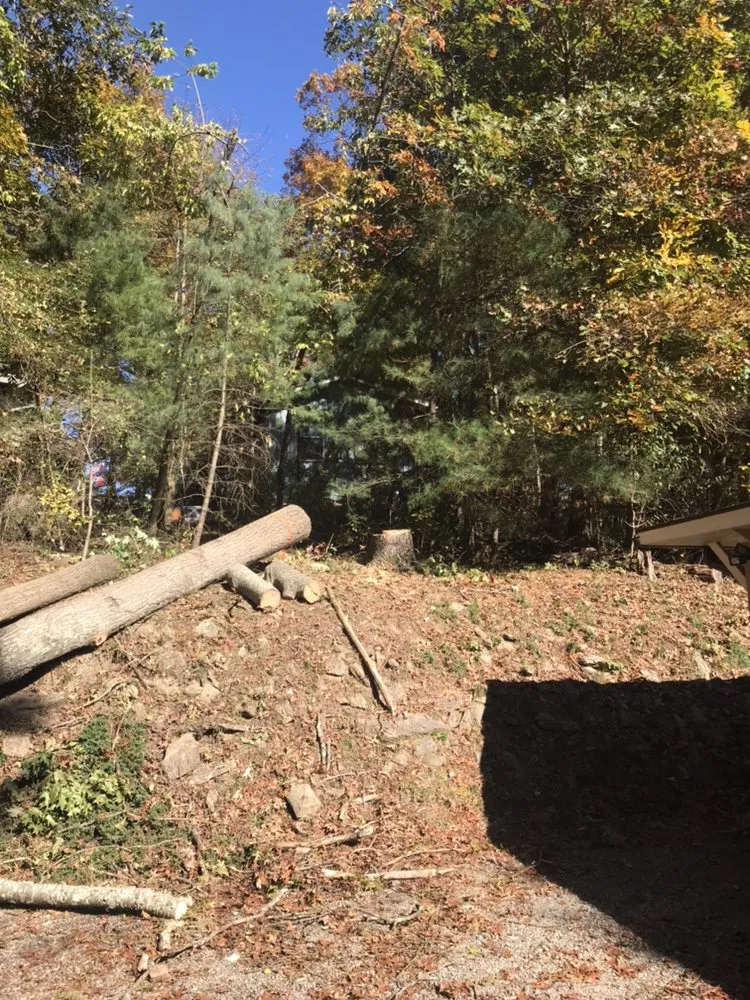 Affordable lawn care service experts serving Hendersonville, NC - Royal Park