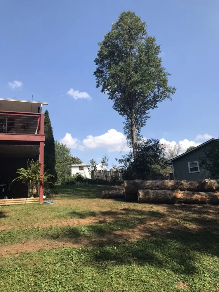 Reliable lawn care service for beautiful yards across Hendersonville, NC - Royal Park