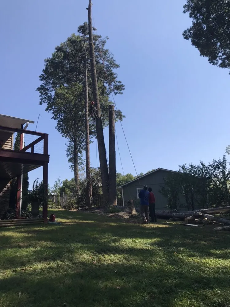 Local garden landscaping in Hendersonville, NC by Royal Park