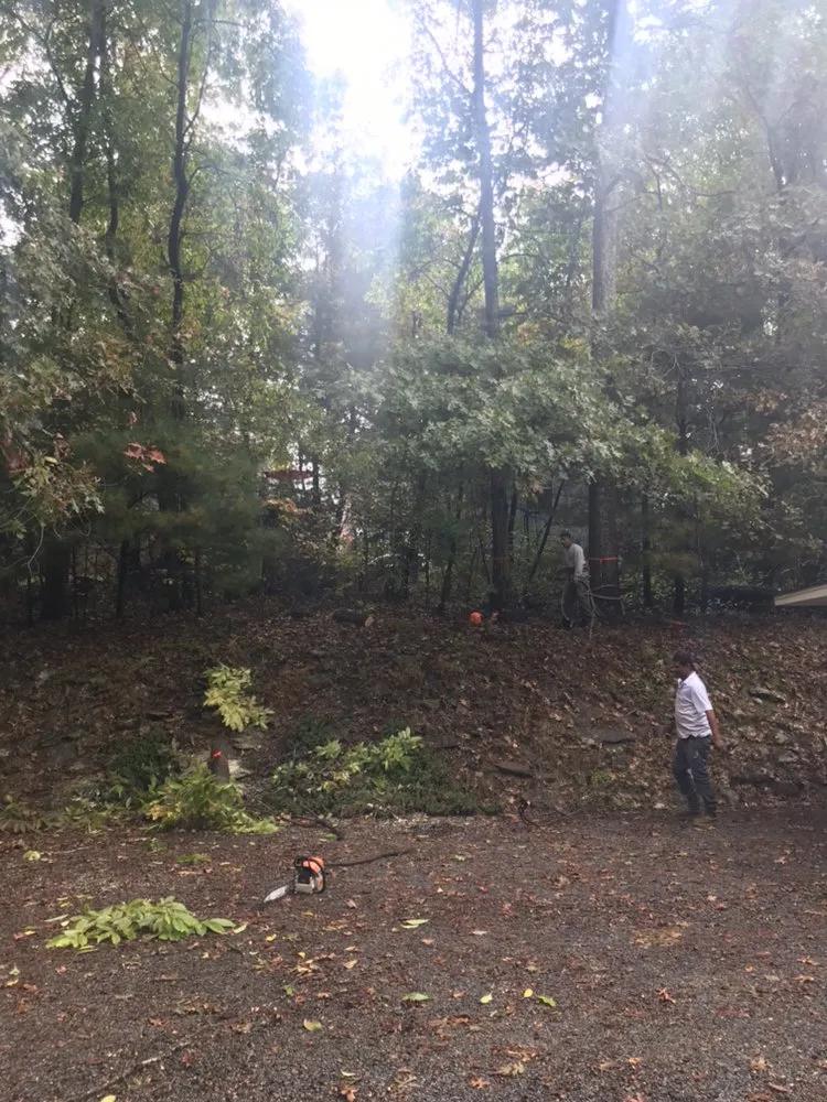 Local outdoor landscaping in Hendersonville, NC by Royal Park