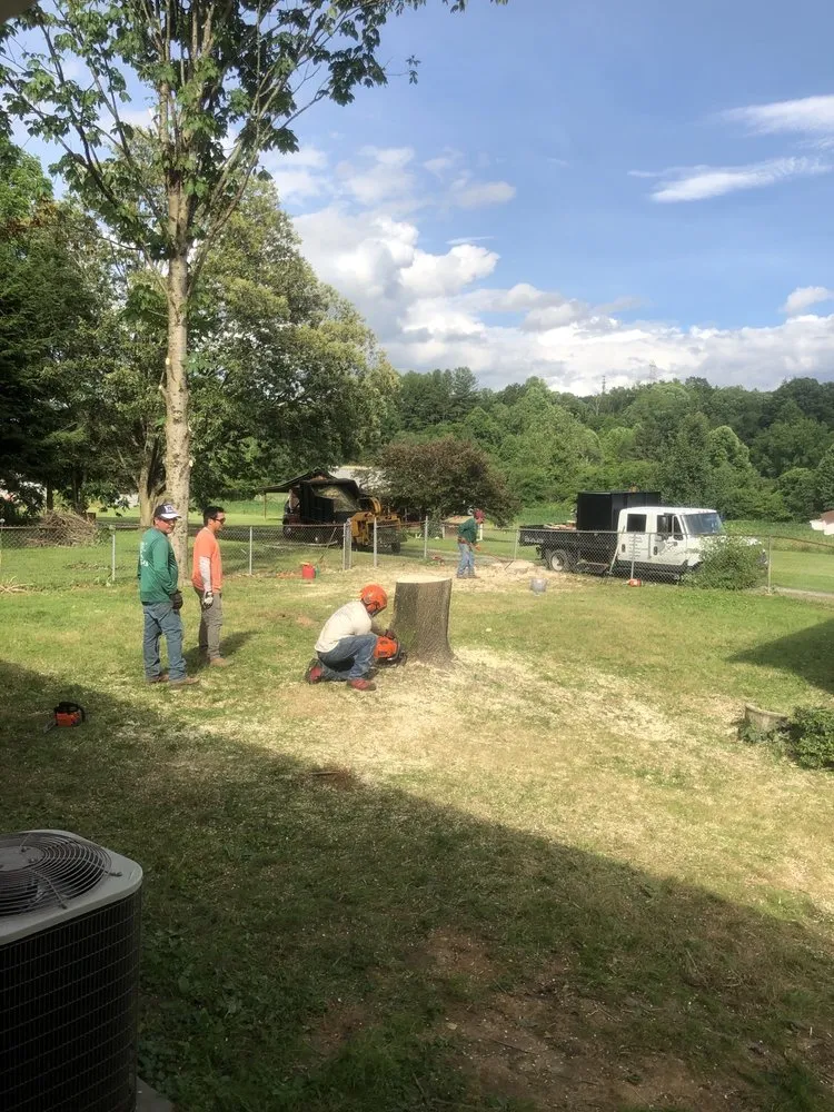 Affordable landscaping services for homes across Hendersonville, NC - Royal Park