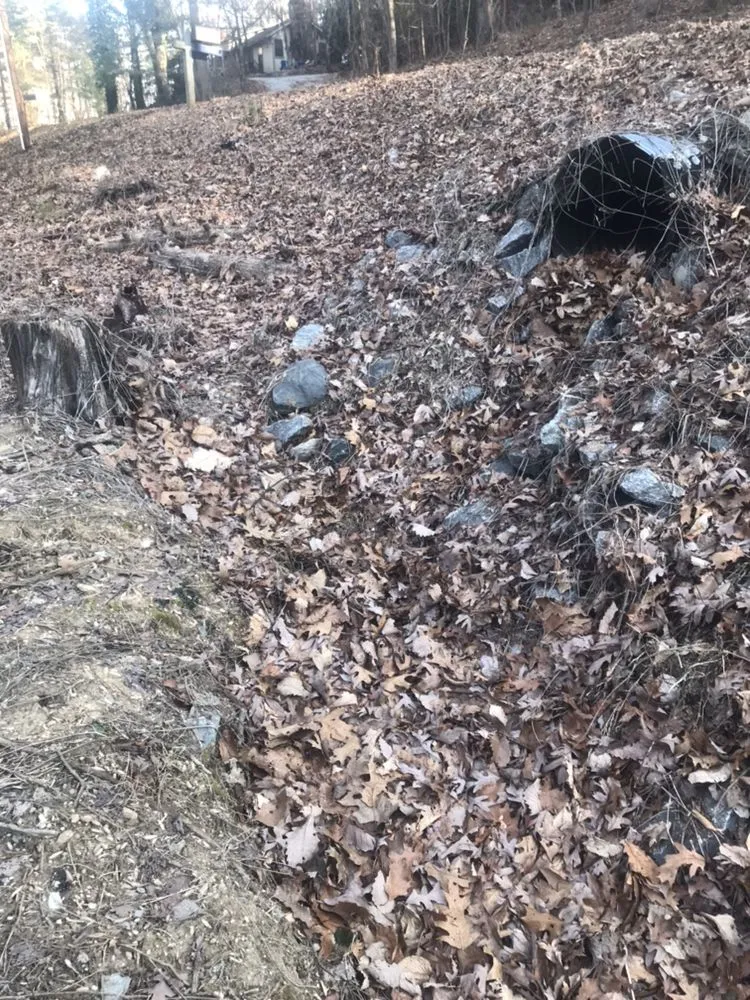 Trusted lawn mowing service in Hendersonville, NC by Royal Park