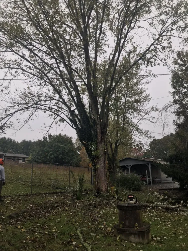 Trusted landscaping services experts serving Hendersonville, NC - Royal Park