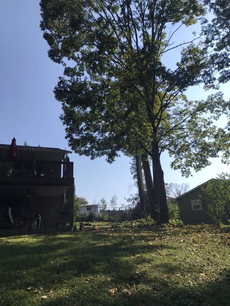 Expert landscape design experts serving Hendersonville, NC - Royal Park