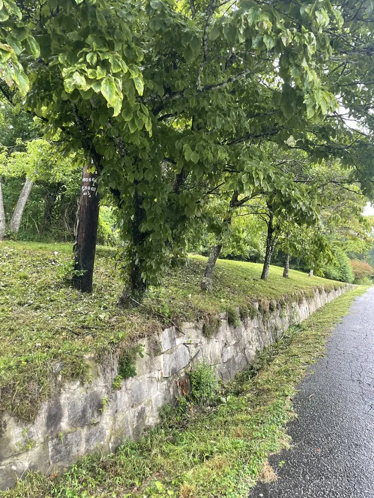 Affordable yard cleanup service with custom design in Hendersonville, NC by Royal Park