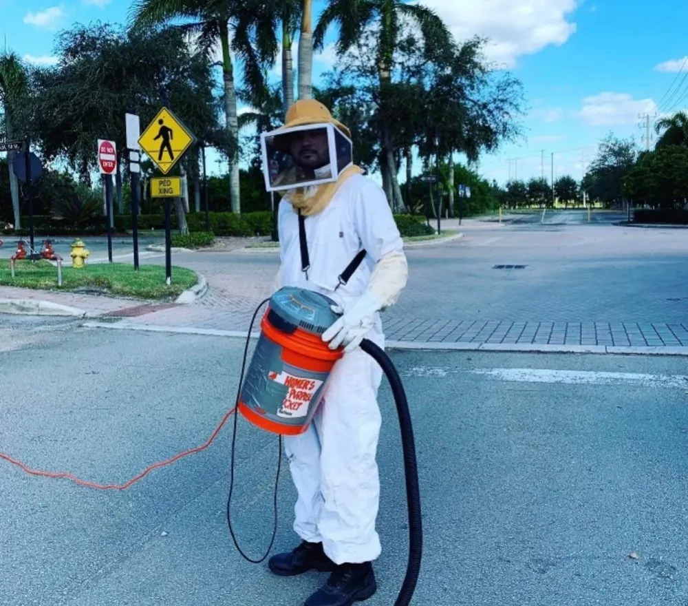 Professional landscape design in Pembroke Pines, FL by Royal Pest & Termite