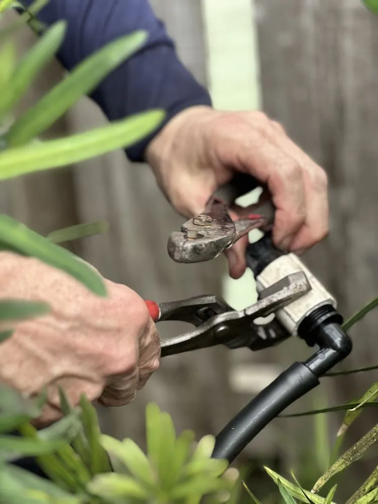 Reliable lawn mowing service in Pembroke Pines, FL - Royal Pest & Termite