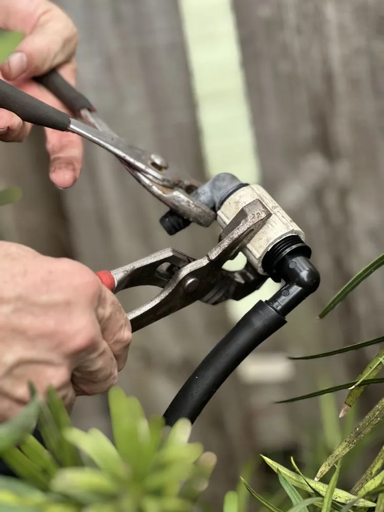 Local landscape installation in Pembroke Pines, FL by Royal Pest & Termite