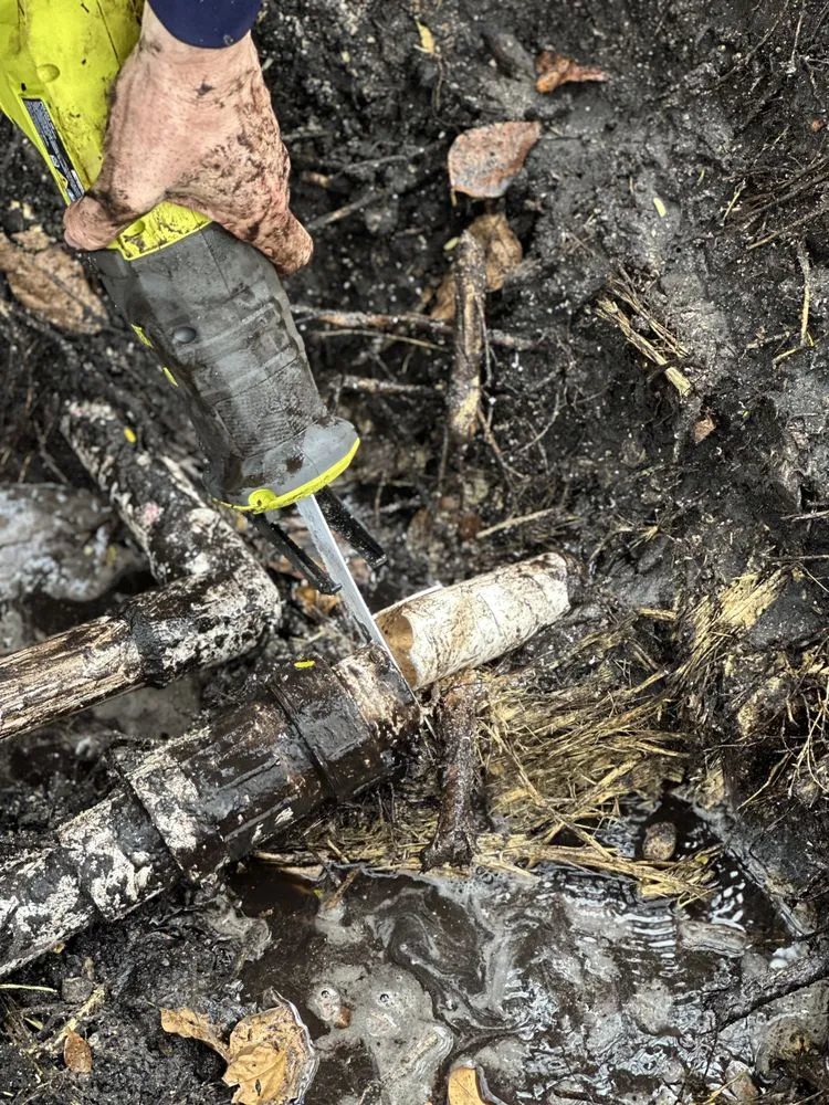 Custom landscaping services for beautiful yards in Pembroke Pines, FL by Royal Pest & Termite