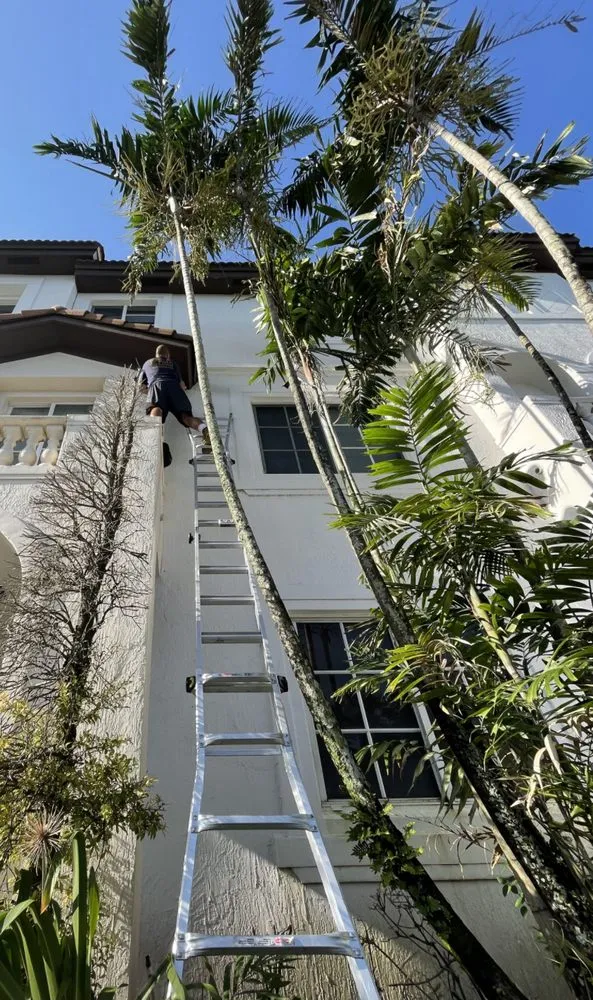 Top-rated landscape installation with custom design in Pembroke Pines, FL by Royal Pest & Termite