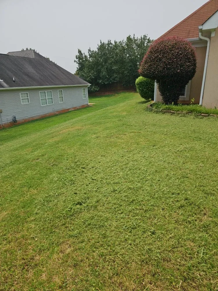 Trusted yard maintenance experts serving Jonesboro, GA - Royal Property Improvement
