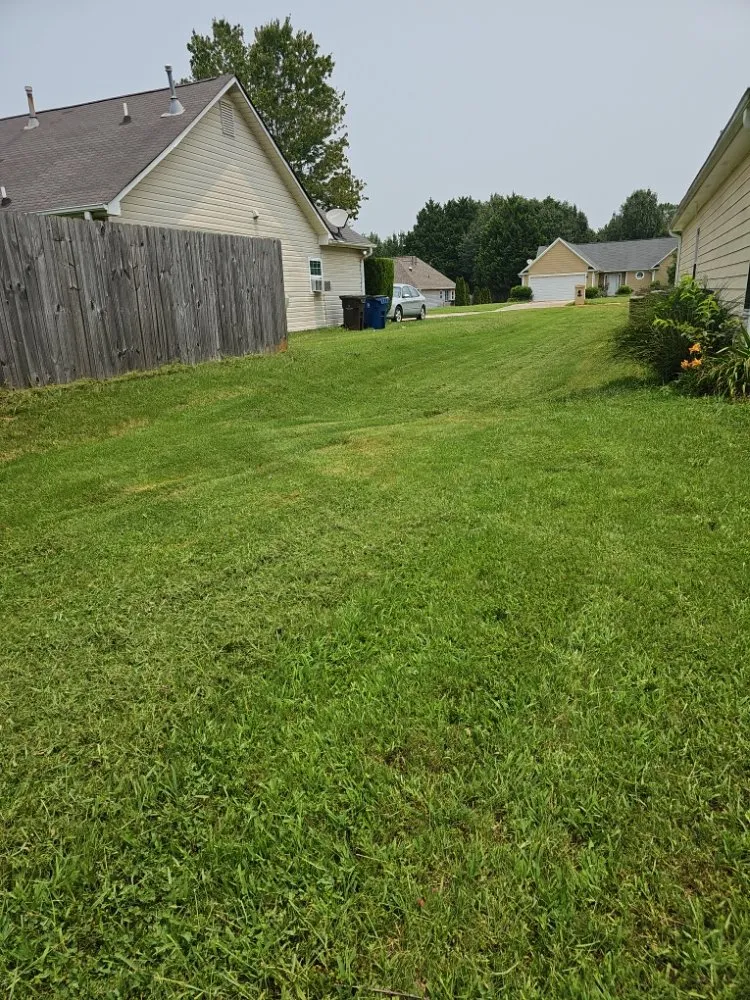 Professional landscaping services in Jonesboro, GA - Royal Property Improvement