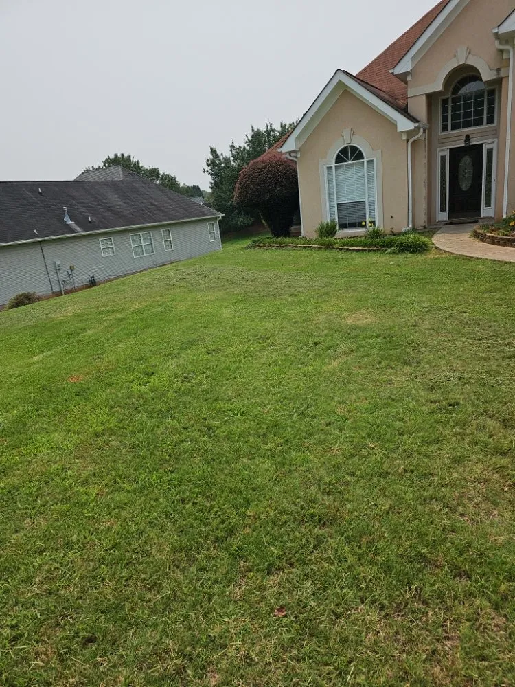 Trusted residential landscaping experts serving Jonesboro, GA - Royal Property Improvement