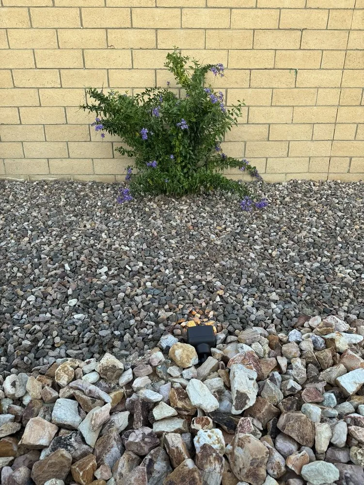 Local garden landscaping for outdoor upgrades in Coachella, CA by Royal Quality Landscaping