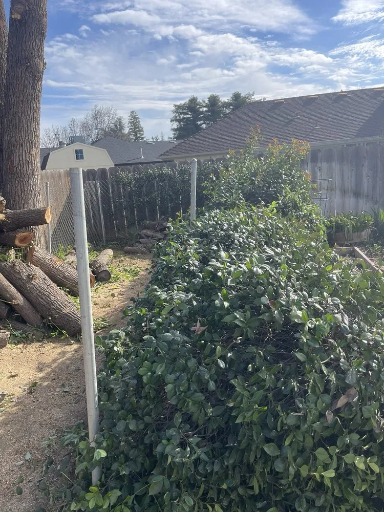 Local landscaping services for homes in Fresno, CA by Royal Quality Tree Service