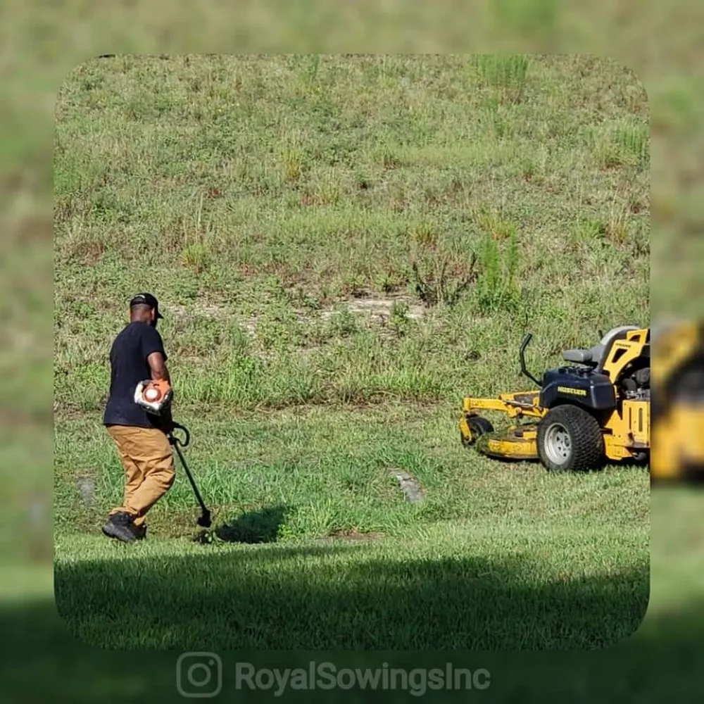 Trusted yard maintenance experts serving Ocala, FL - Royal Sowings