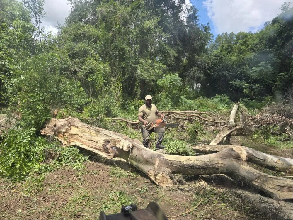 Expert lawn care service in Ocala, FL - Royal Sowings