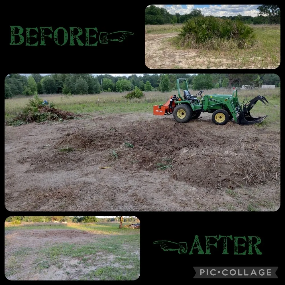 Trusted garden landscaping experts serving Ocala, FL - Royal Sowings
