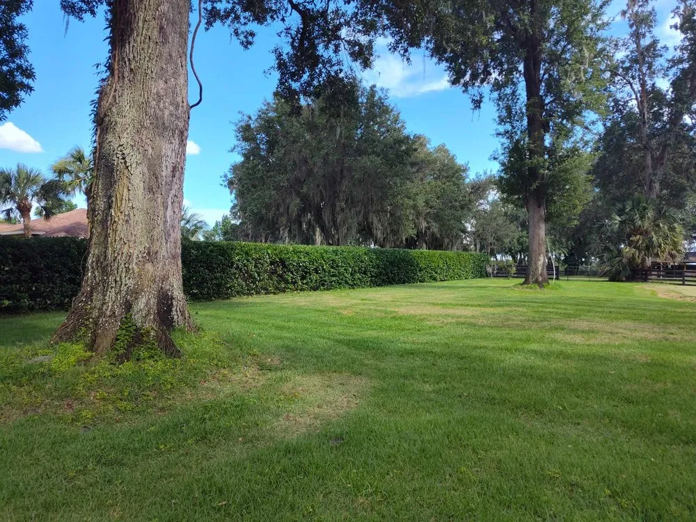 Custom yard maintenance in Ocala, FL - Royal Sowings