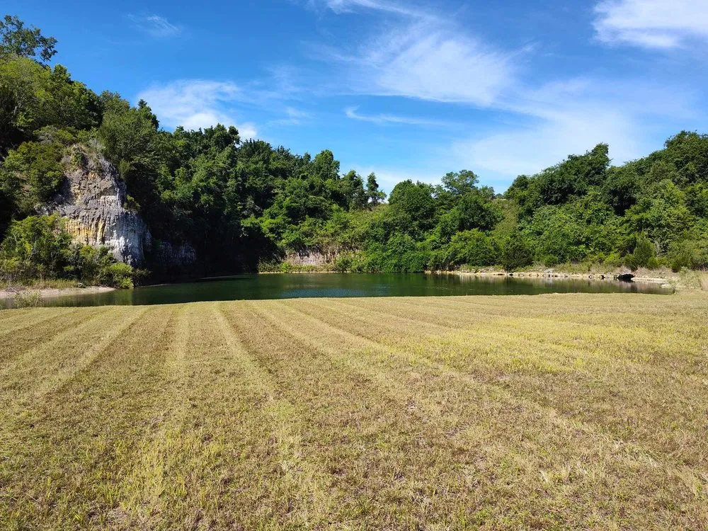 Expert residential landscaping near you across Ocala, FL - Royal Sowings