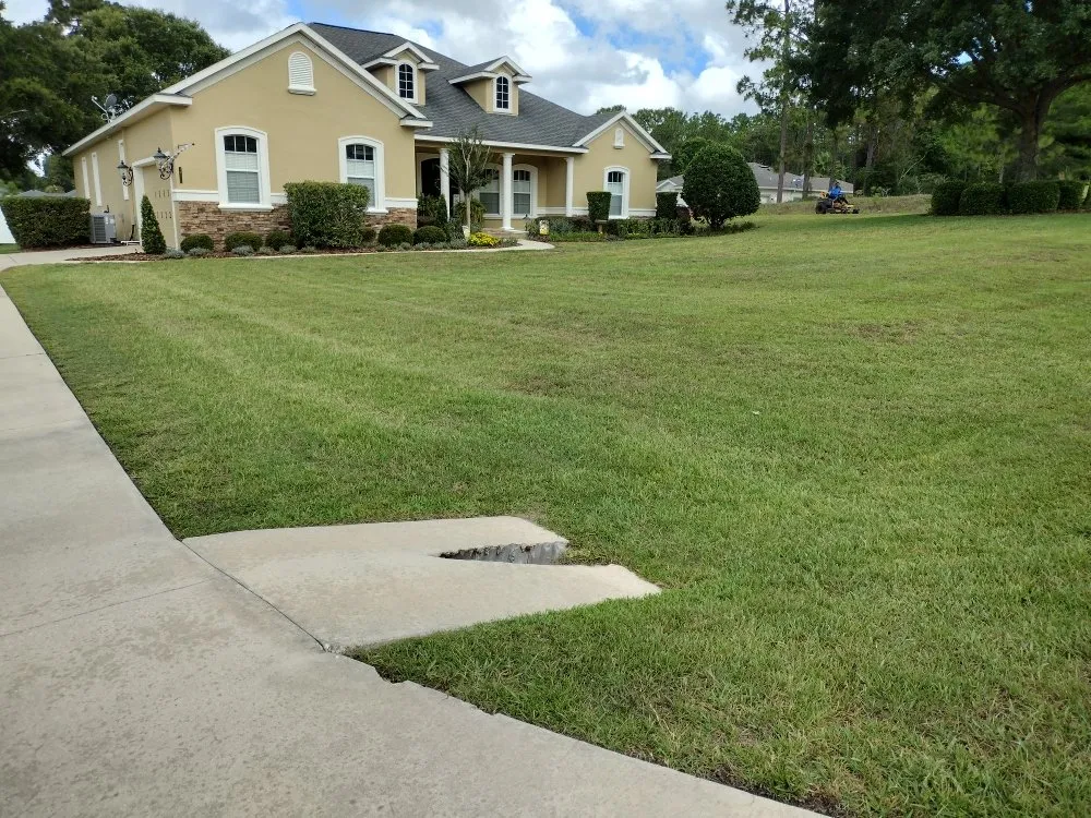 Top-rated landscape installation for year-round maintenance across Ocala, FL - Royal Sowings