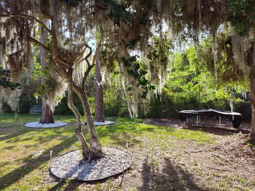 Professional yard maintenance in Ocala, FL by Royal Sowings