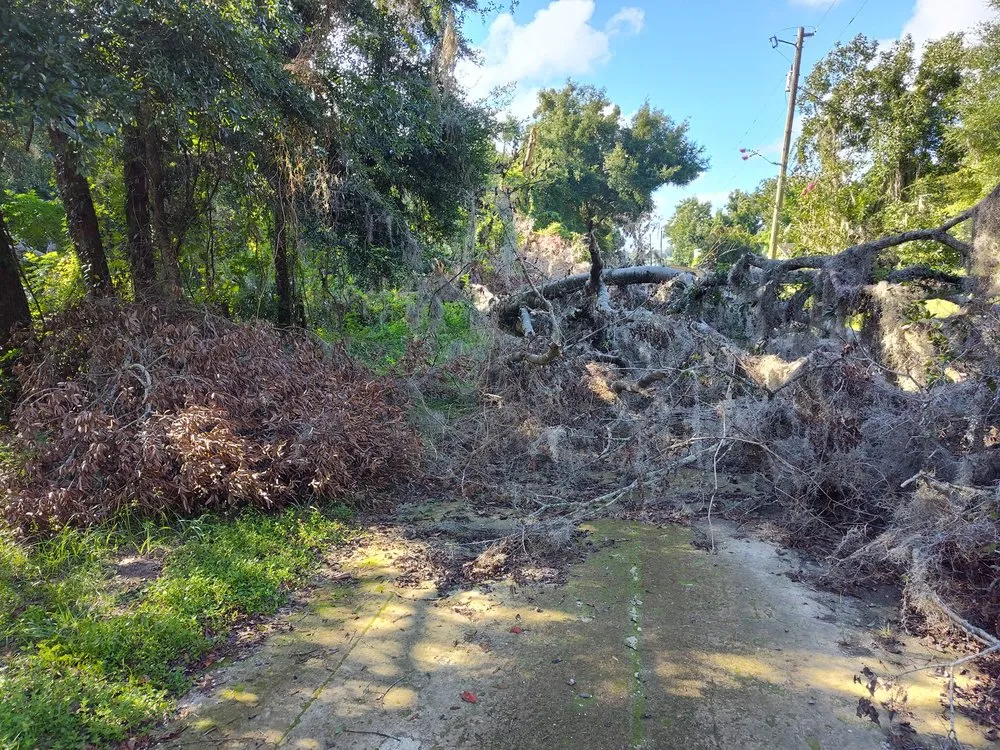Local yard maintenance in Ocala, FL by Royal Sowings