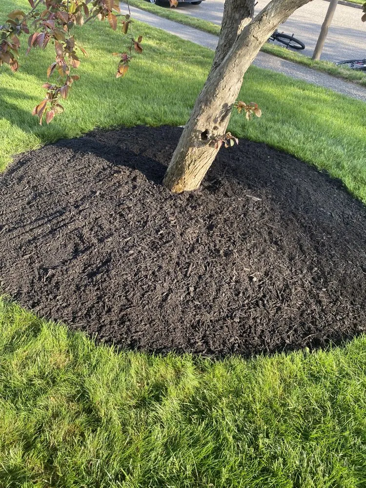 Professional yard maintenance for year-round maintenance in Lake Grove, NY by Royal Touch Landscaping