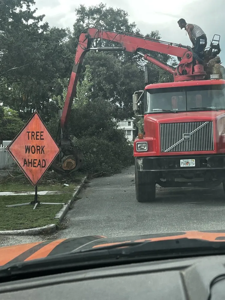 Affordable landscaping services experts serving St. Petersburg, FL - Royal Tree and Lawn Services