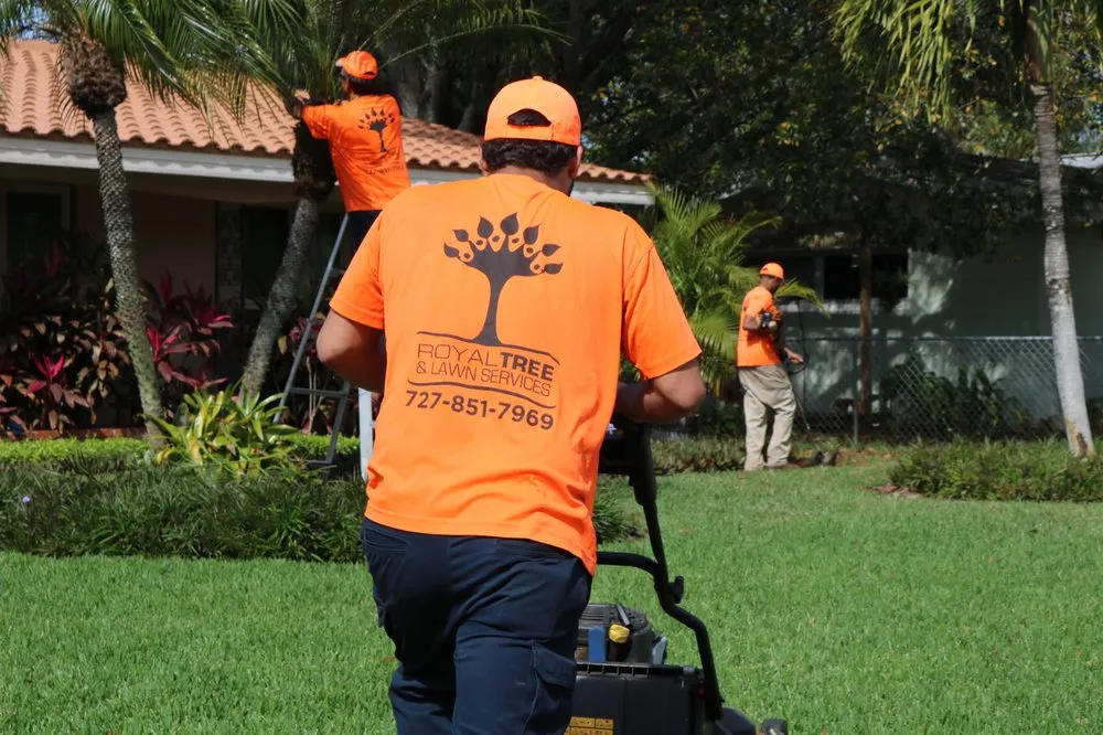 Trusted lawn care service in St. Petersburg, FL by Royal Tree and Lawn Services