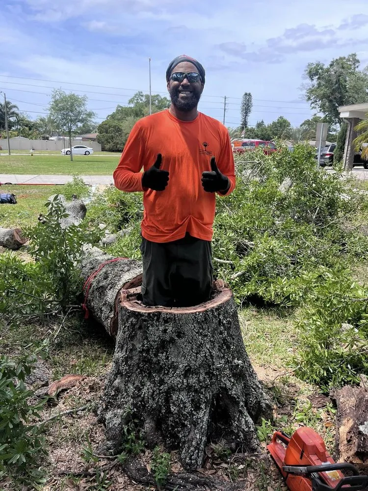 Custom garden landscaping experts serving St. Petersburg, FL - Royal Tree and Lawn Services